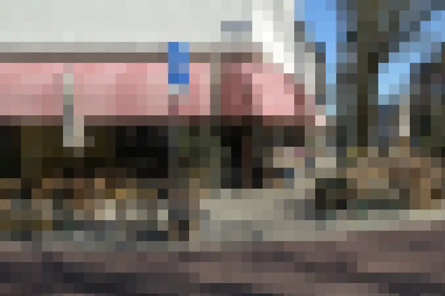 Noordwijkstraat 9 Den Haag thumbnail 48