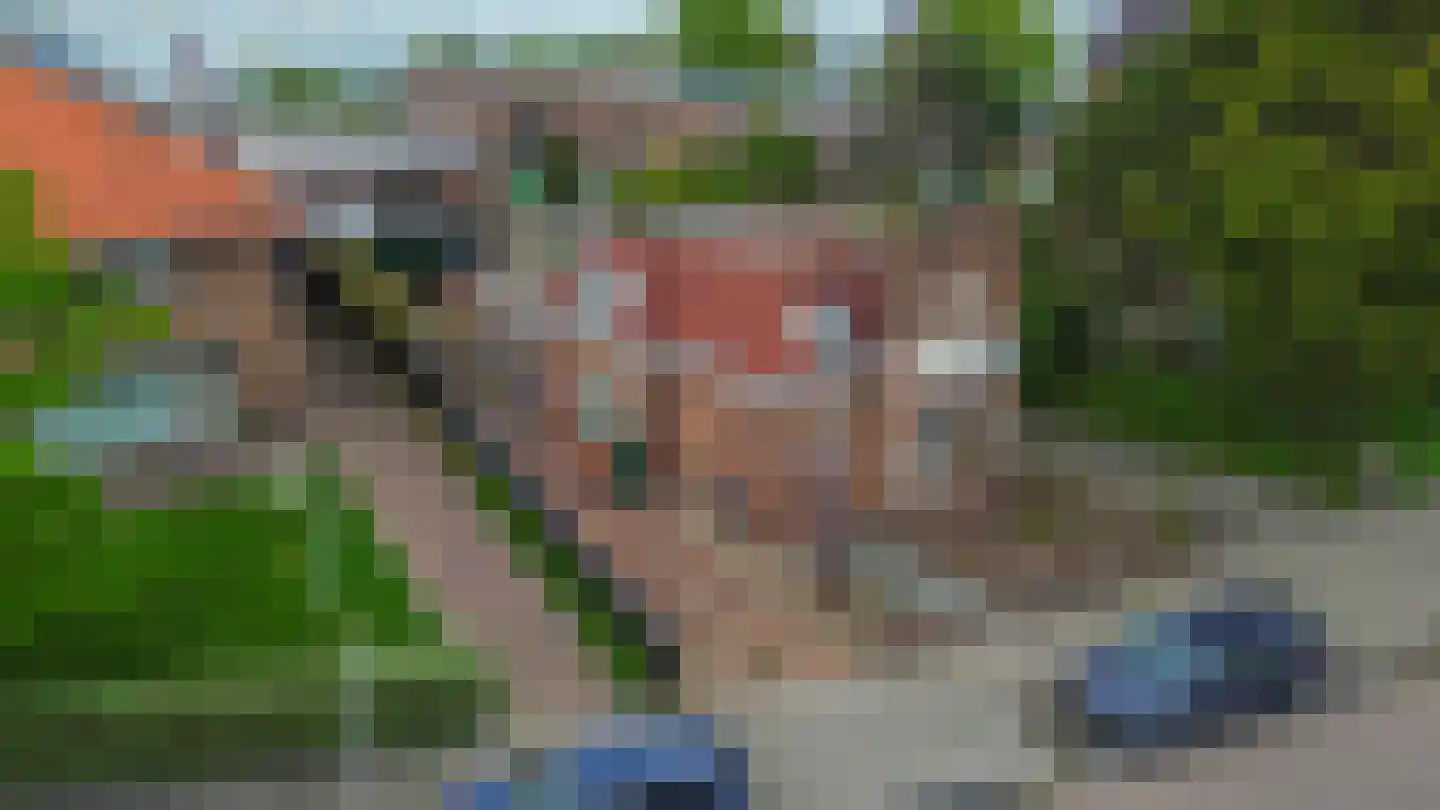 Noordwind 26 's-Gravenzande thumbnail 41