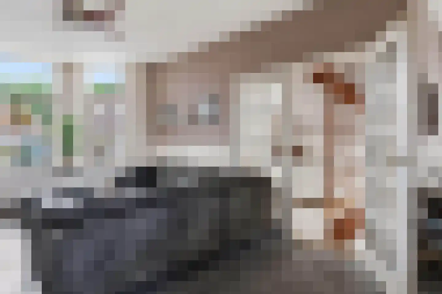 Noordwind 26 's-Gravenzande thumbnail 8
