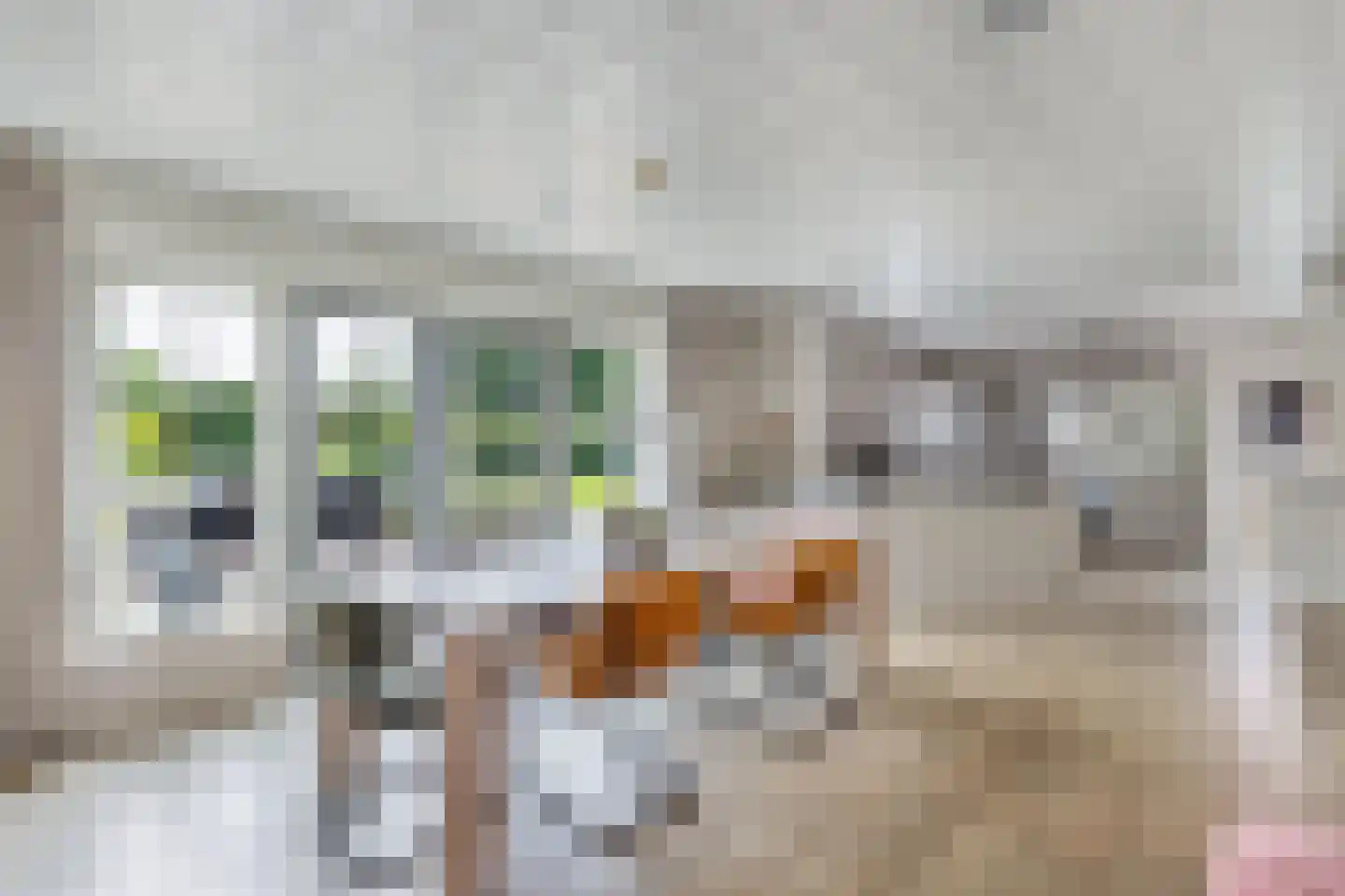 Noordwolderweg 14 Vinkega thumbnail 17