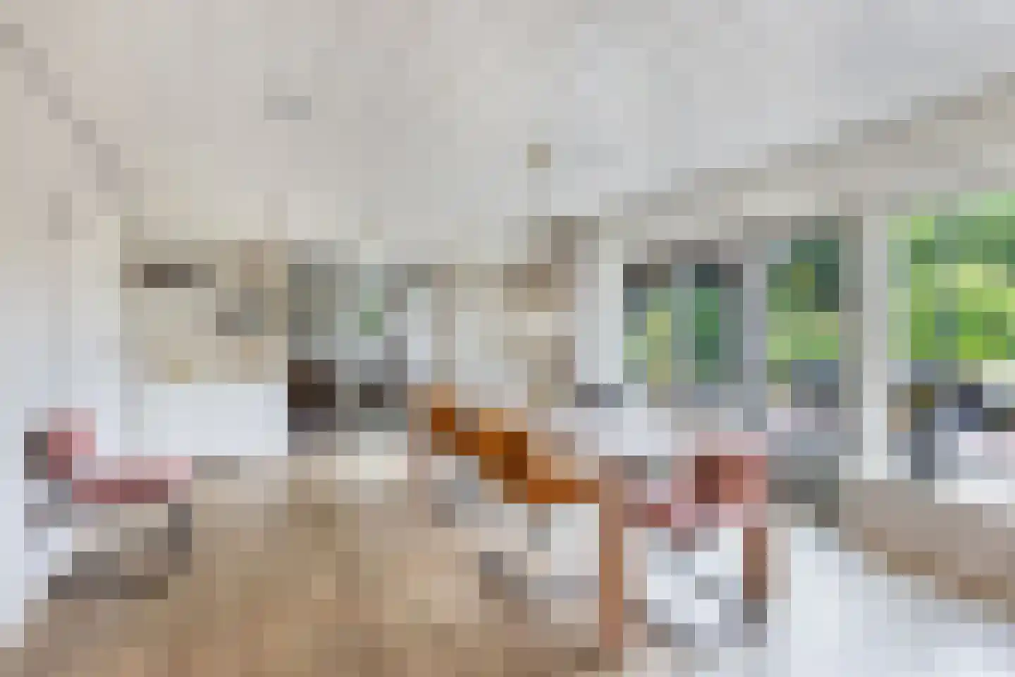 Noordwolderweg 14 Vinkega thumbnail 18