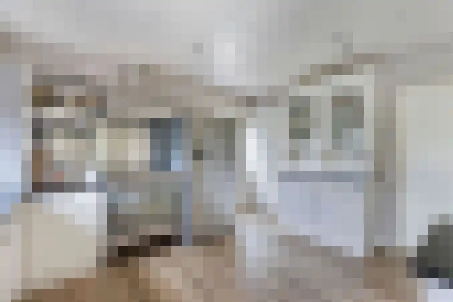 Noordwolderweg 14 Vinkega thumbnail 22