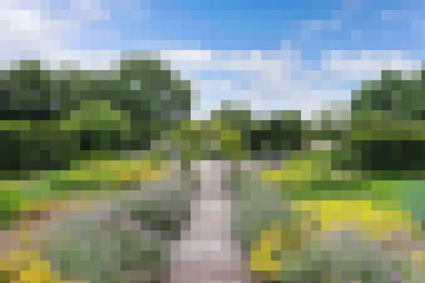 Noordwolderweg 14 Vinkega thumbnail 61