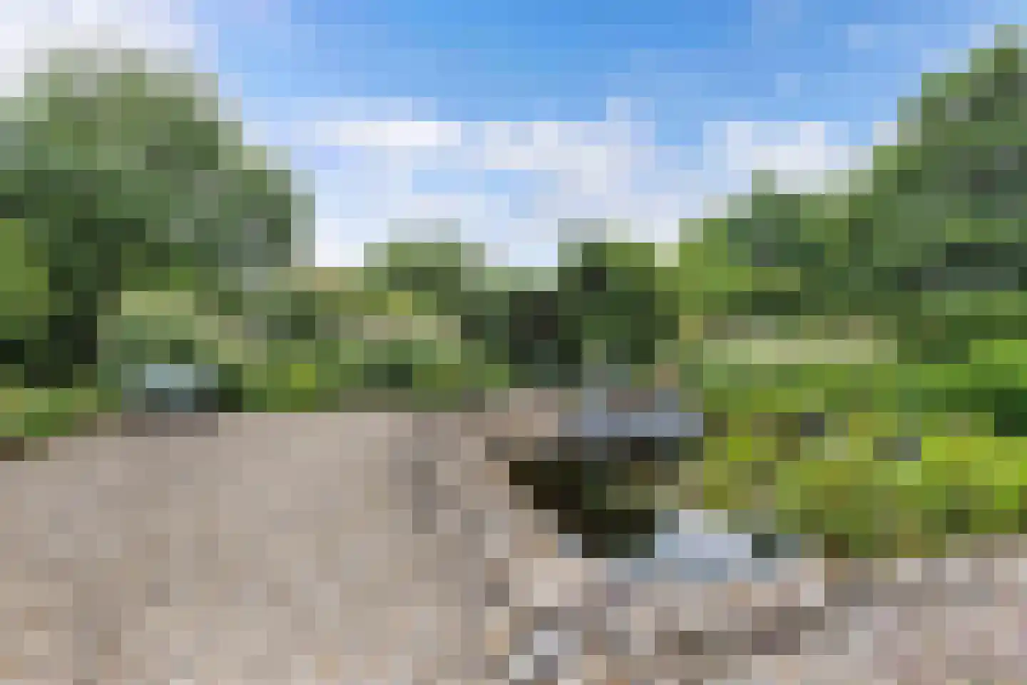 Noordwolderweg 14 Vinkega thumbnail 62