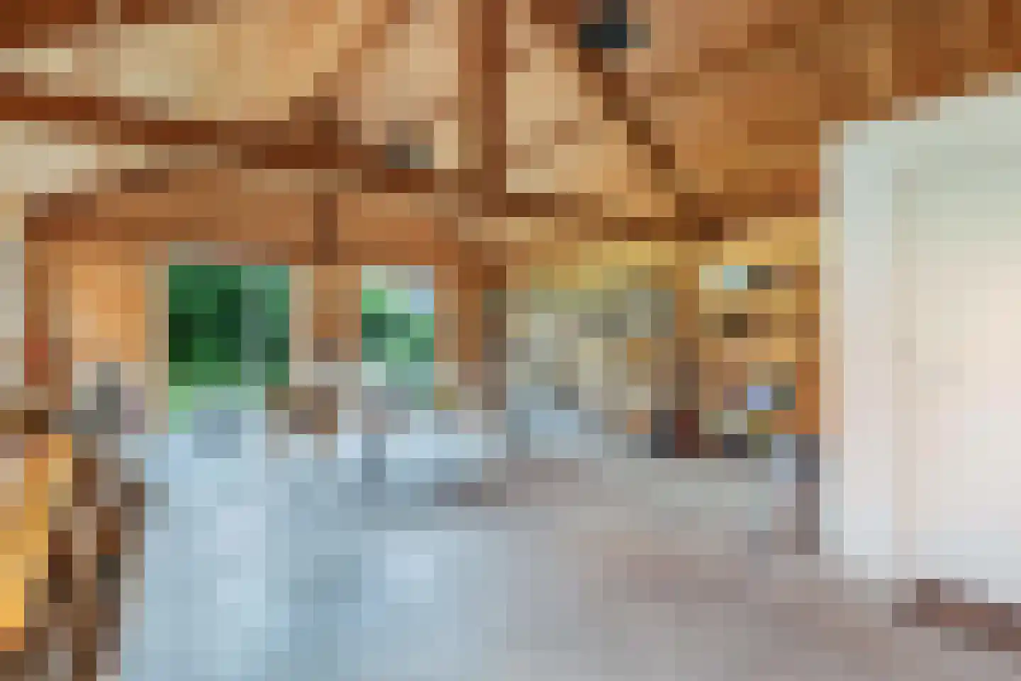 Noordwolderweg 14 Vinkega thumbnail 69