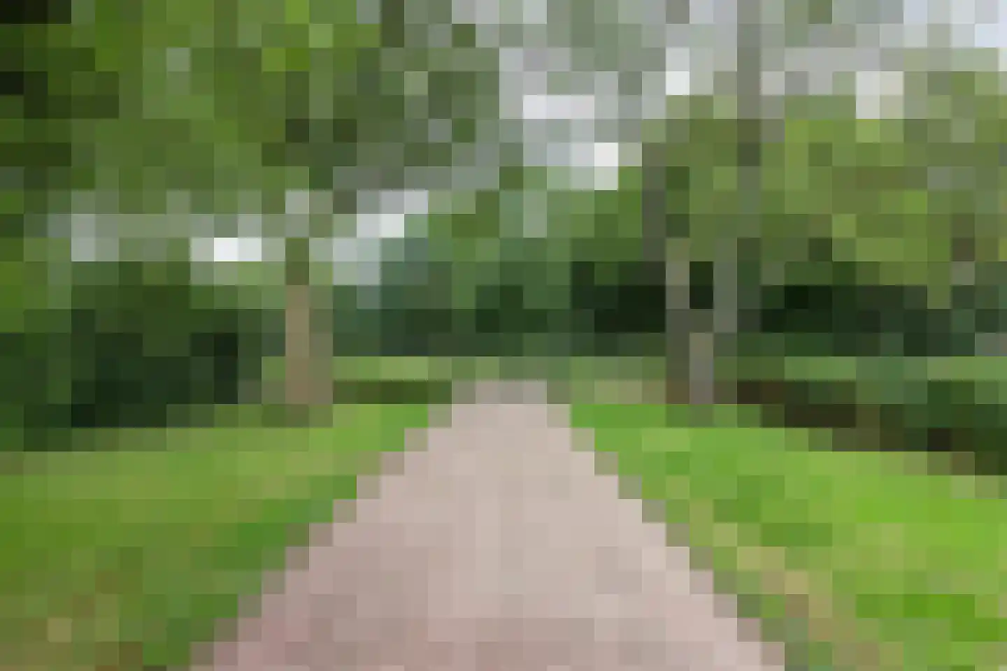 Noordwolderweg 14 Vinkega thumbnail 76
