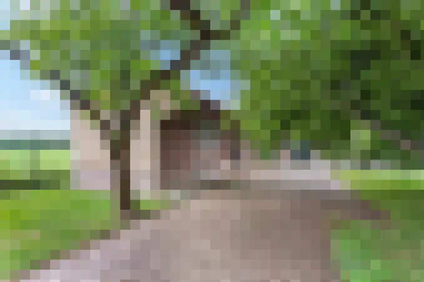 Noordwolderweg 14 Vinkega thumbnail 77