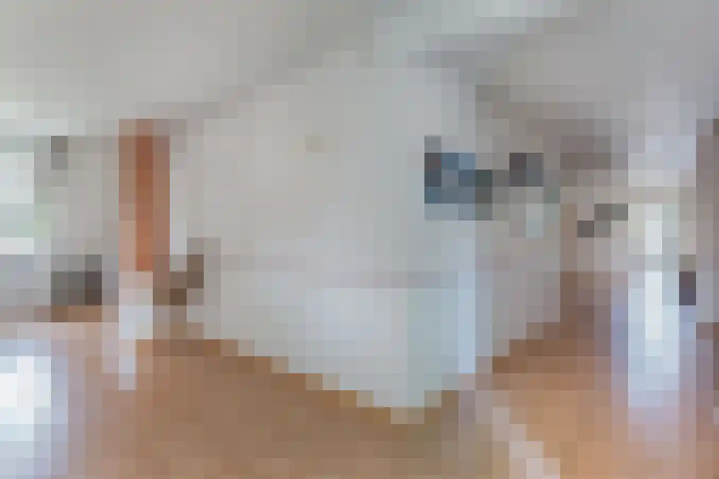 Noordwolderweg 14 Vinkega thumbnail 8