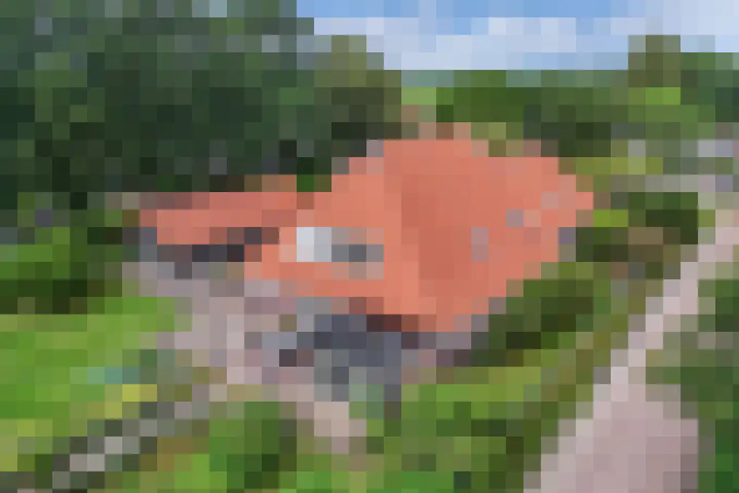Noordwolderweg 14 Vinkega thumbnail 81
