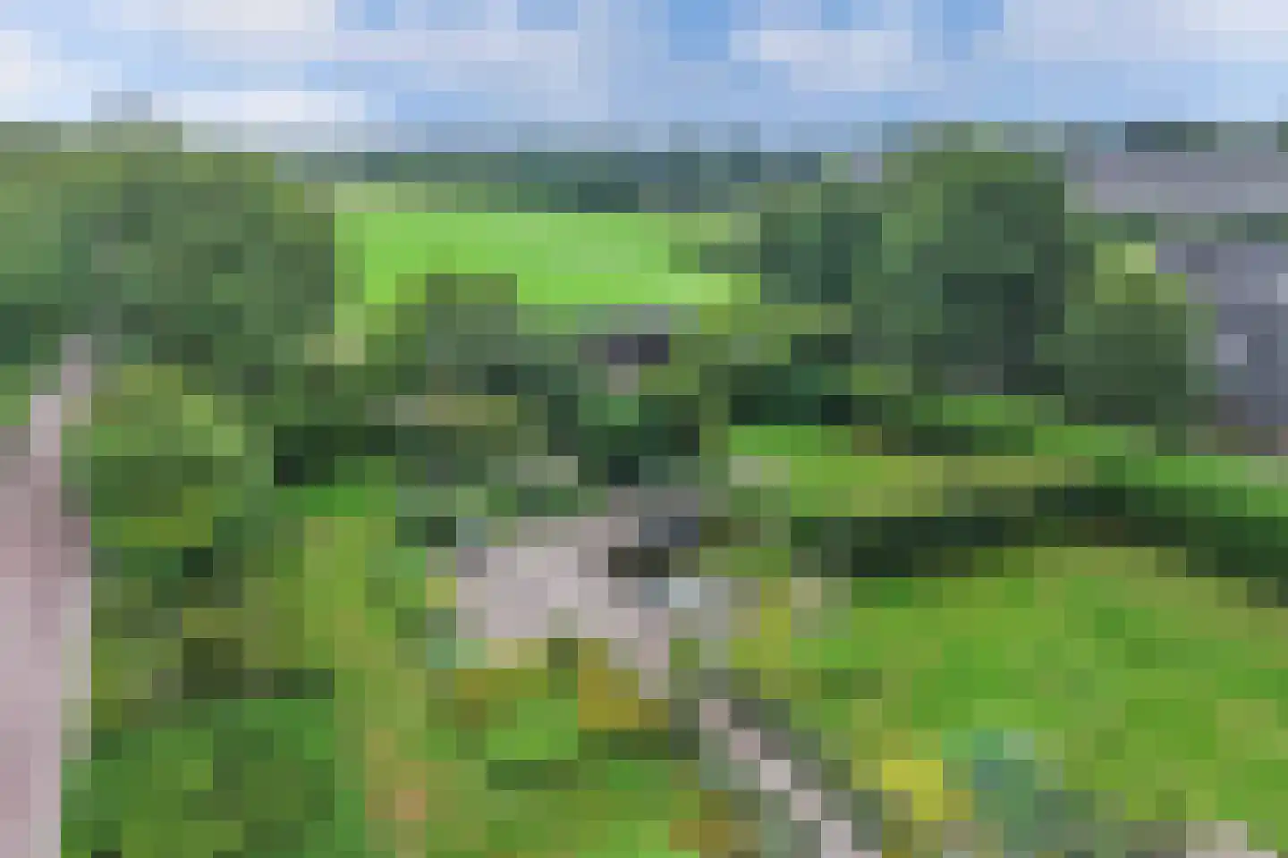Noordwolderweg 14 Vinkega thumbnail 83