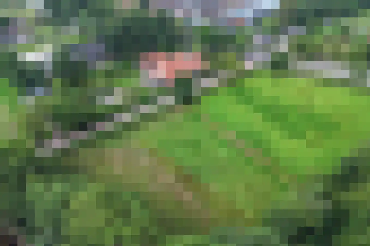 Noordwolderweg 14 Vinkega thumbnail 86