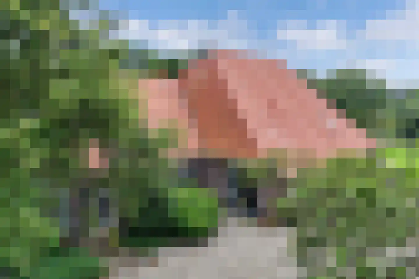Noordwolderweg 14 Vinkega thumbnail 89