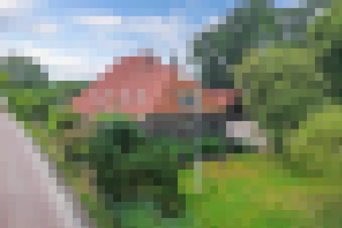 Noordwolderweg 14 Vinkega thumbnail 91