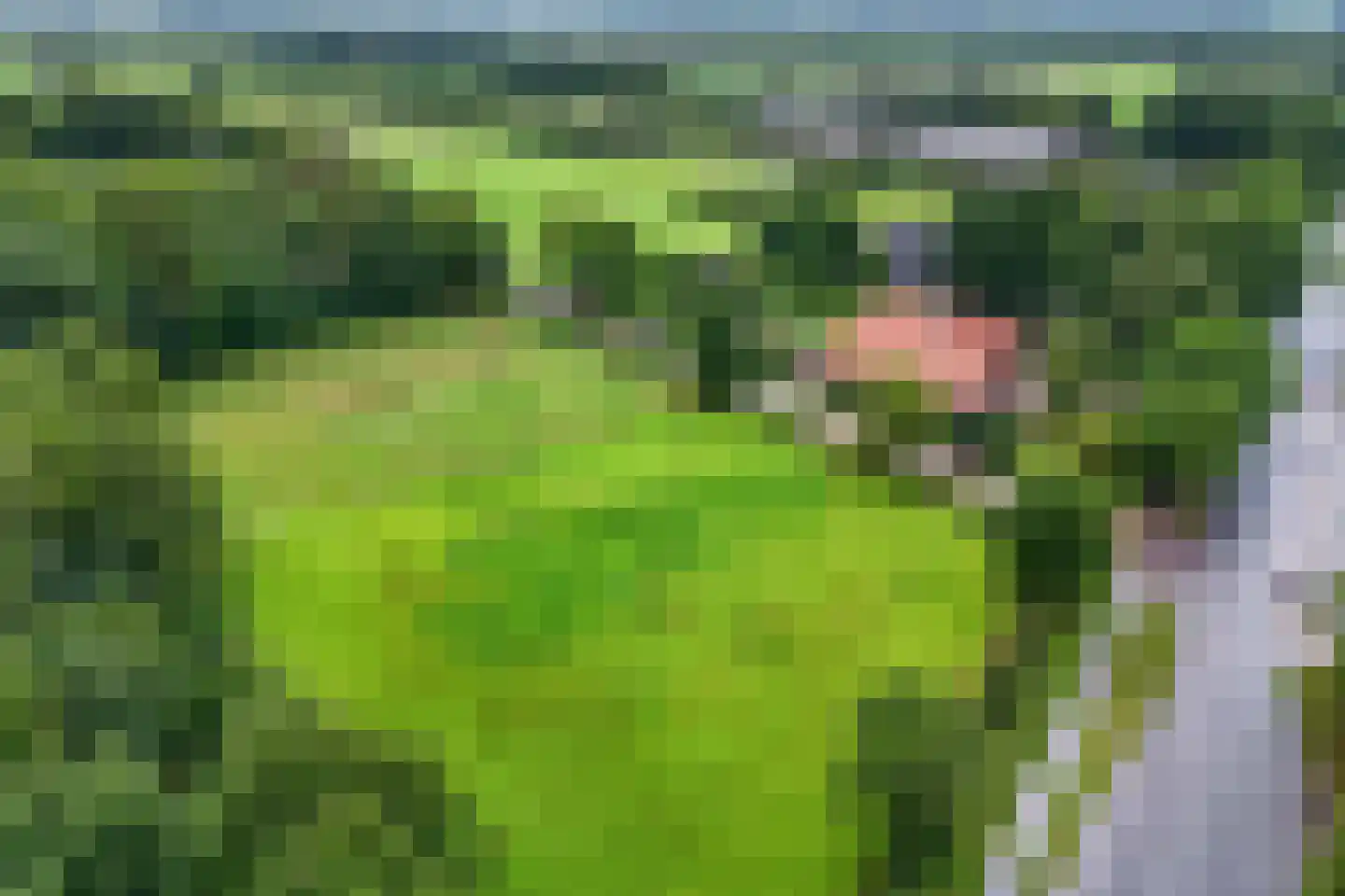 Noordwolderweg 14 Vinkega thumbnail 92