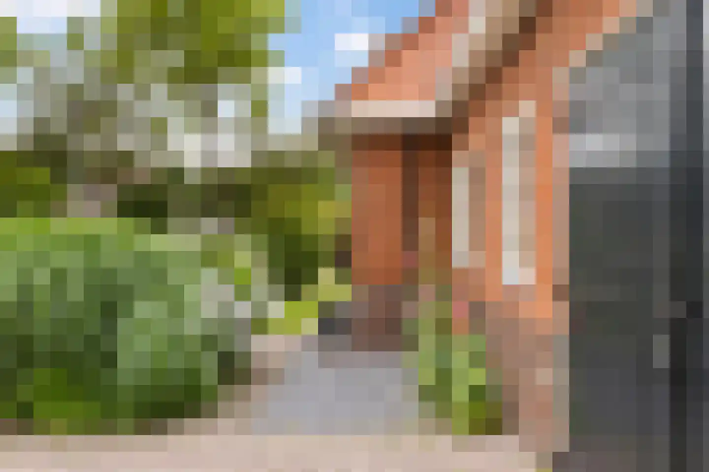 Noordwolderweg 37 Zuidwolde thumbnail 41