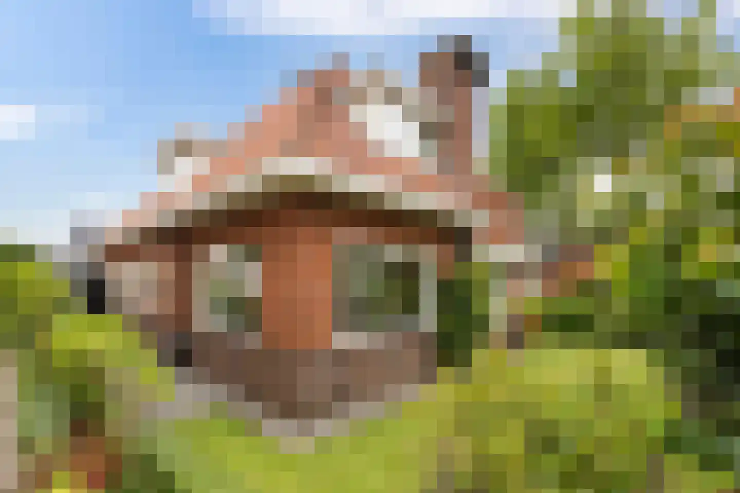 Noordwolderweg 37 Zuidwolde thumbnail 50