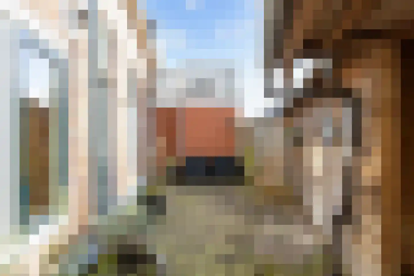 Noordwolderweg 4 Zuidwolde thumbnail 38