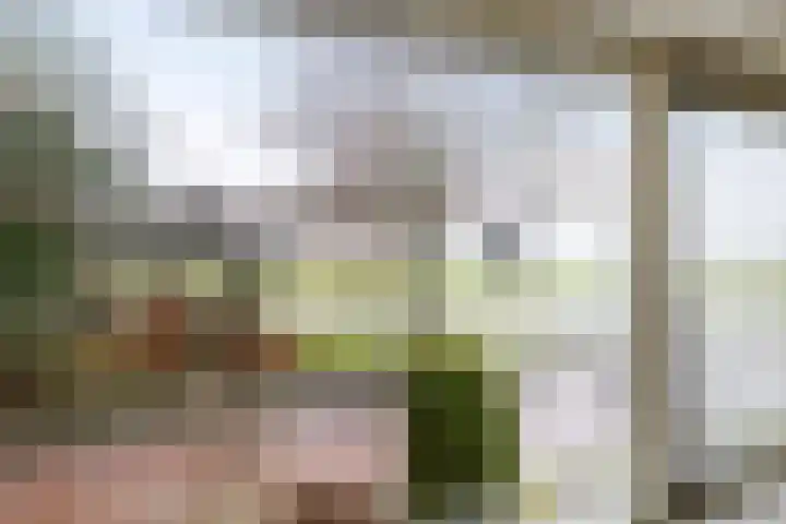 Noordwolderweg 43 Zuidwolde thumbnail 32