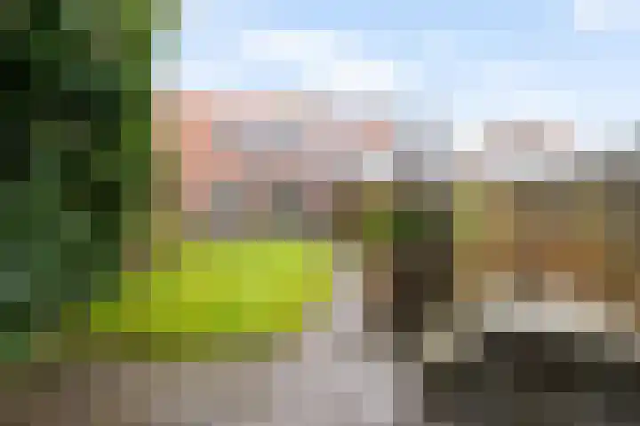 Noordwolderweg 43 Zuidwolde thumbnail 4
