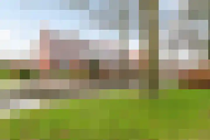 Noordwolderweg 43 Zuidwolde thumbnail 41