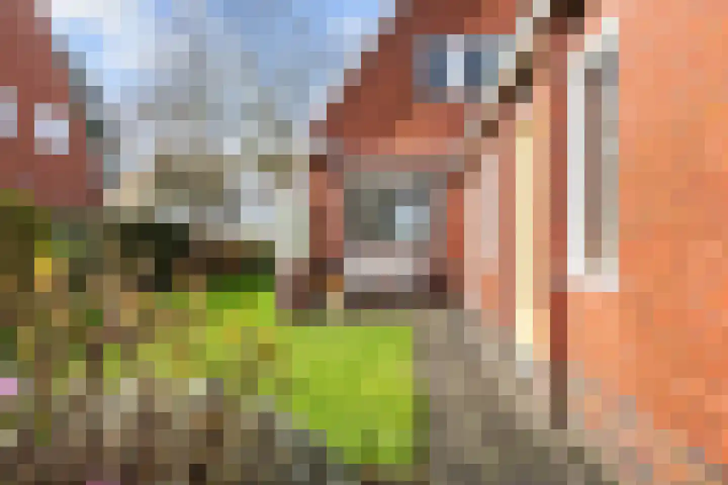 Noordwolderweg 47 Zuidwolde thumbnail 35
