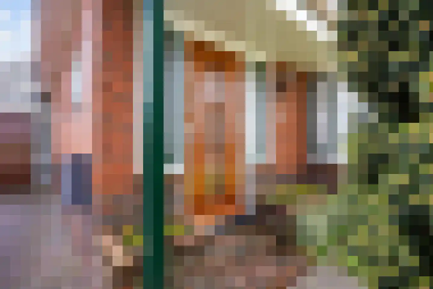 Noordwolderweg 47 Zuidwolde thumbnail 5