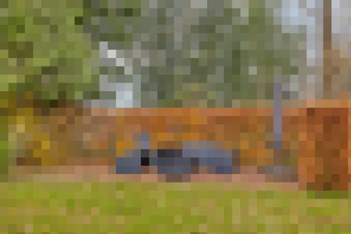 Noordwolderweg 48 Vinkega thumbnail 34