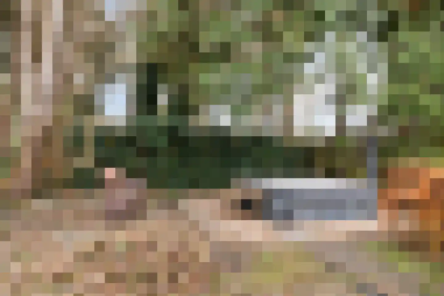Noordwolderweg 48 Vinkega thumbnail 35