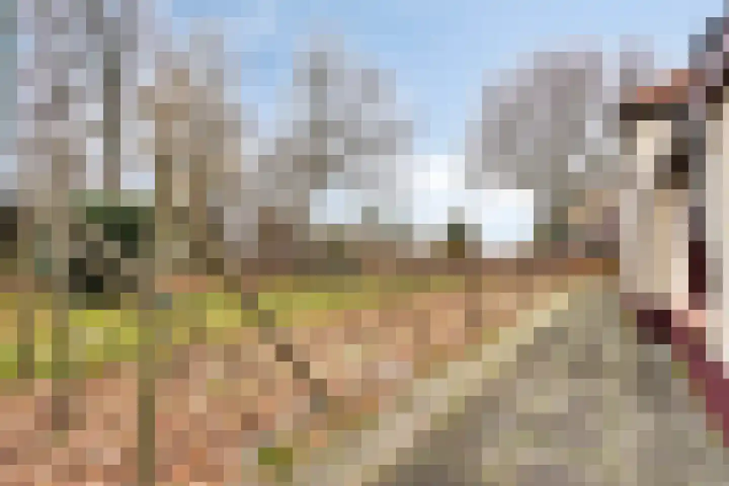 Noordwolderweg 48 Vinkega thumbnail 39