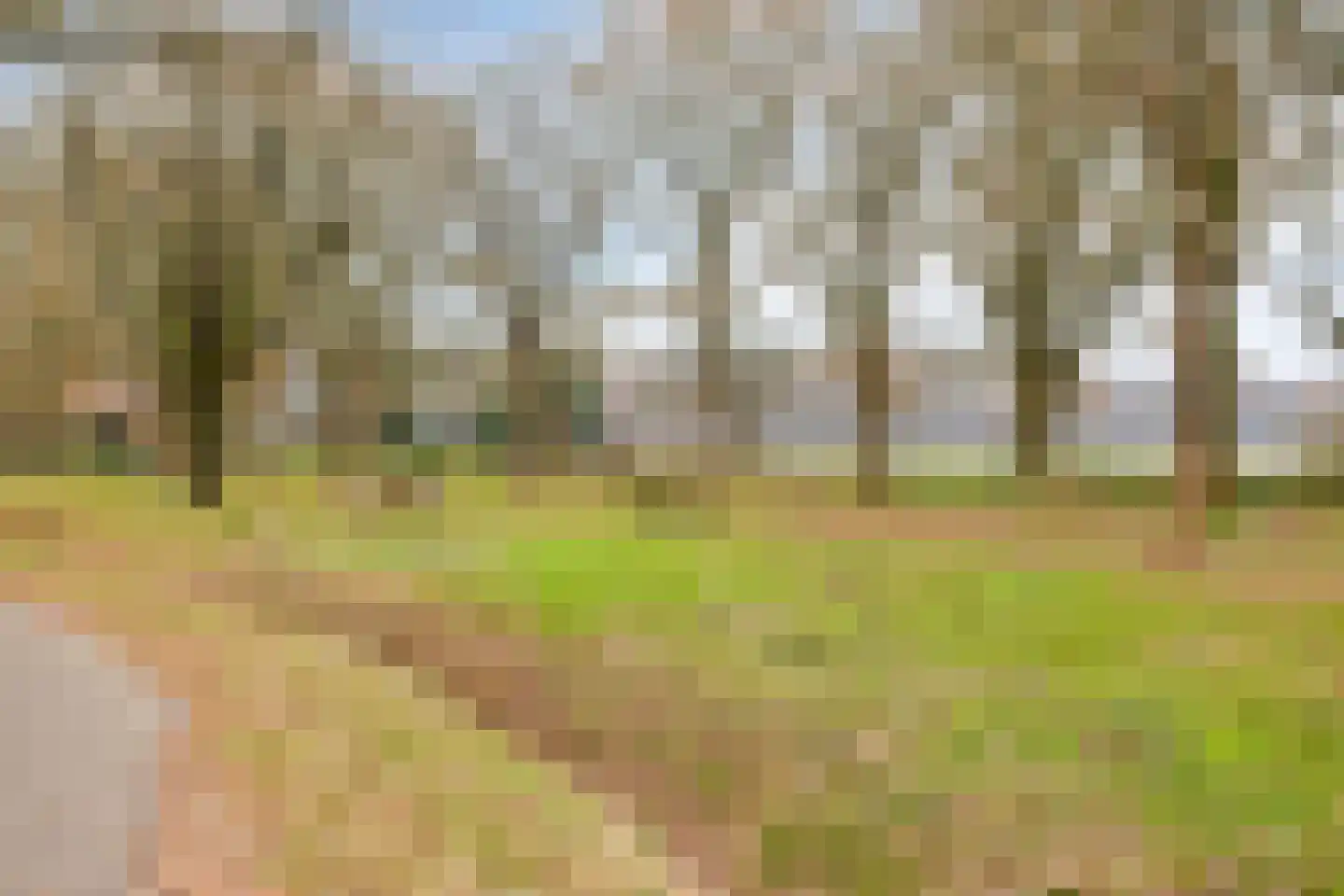 Noordwolderweg 48 Vinkega thumbnail 41