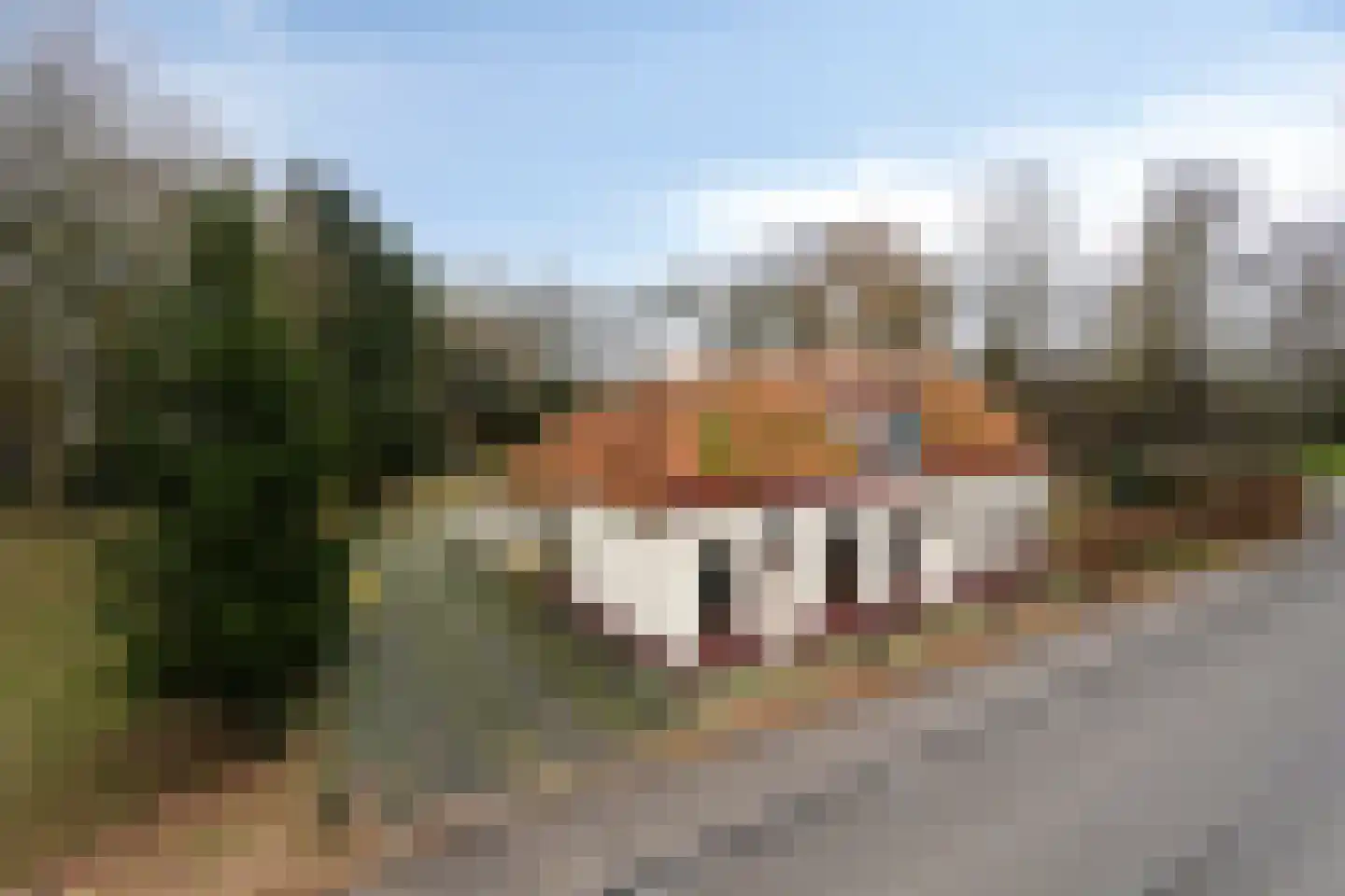 Noordwolderweg 48 Vinkega thumbnail 42