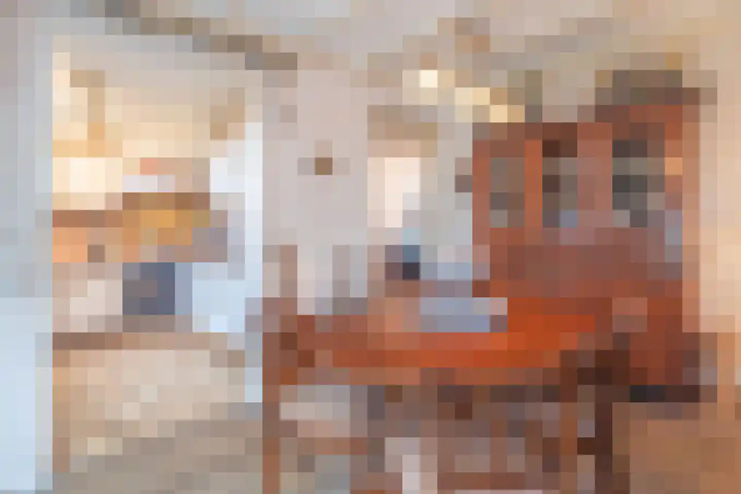 Noordzandstraat 27 Yerseke thumbnail 16