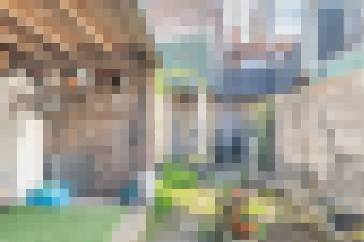 Noordzandstraat 27 Yerseke thumbnail 43
