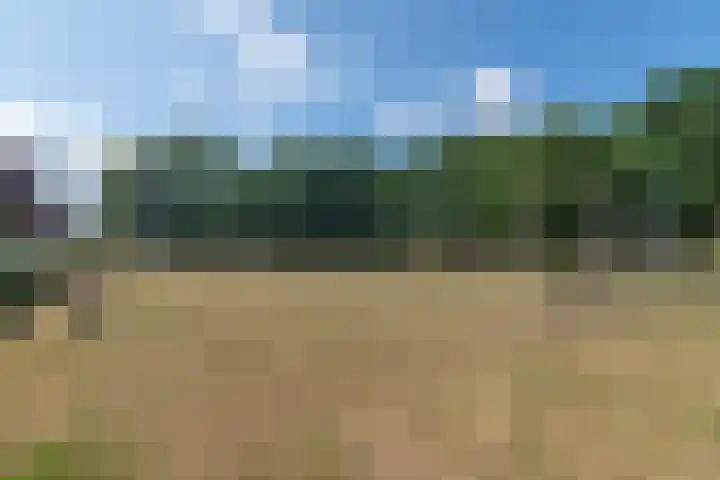 Noordzee 5 Amersfoort thumbnail 34