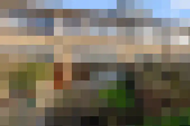 Noordzee 57 Zaandam thumbnail 11