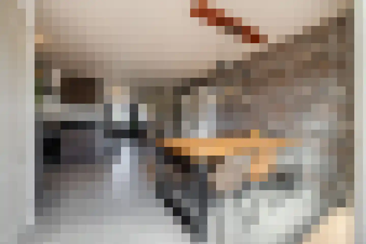 Noordzeedijk 15 Stampersgat thumbnail 19