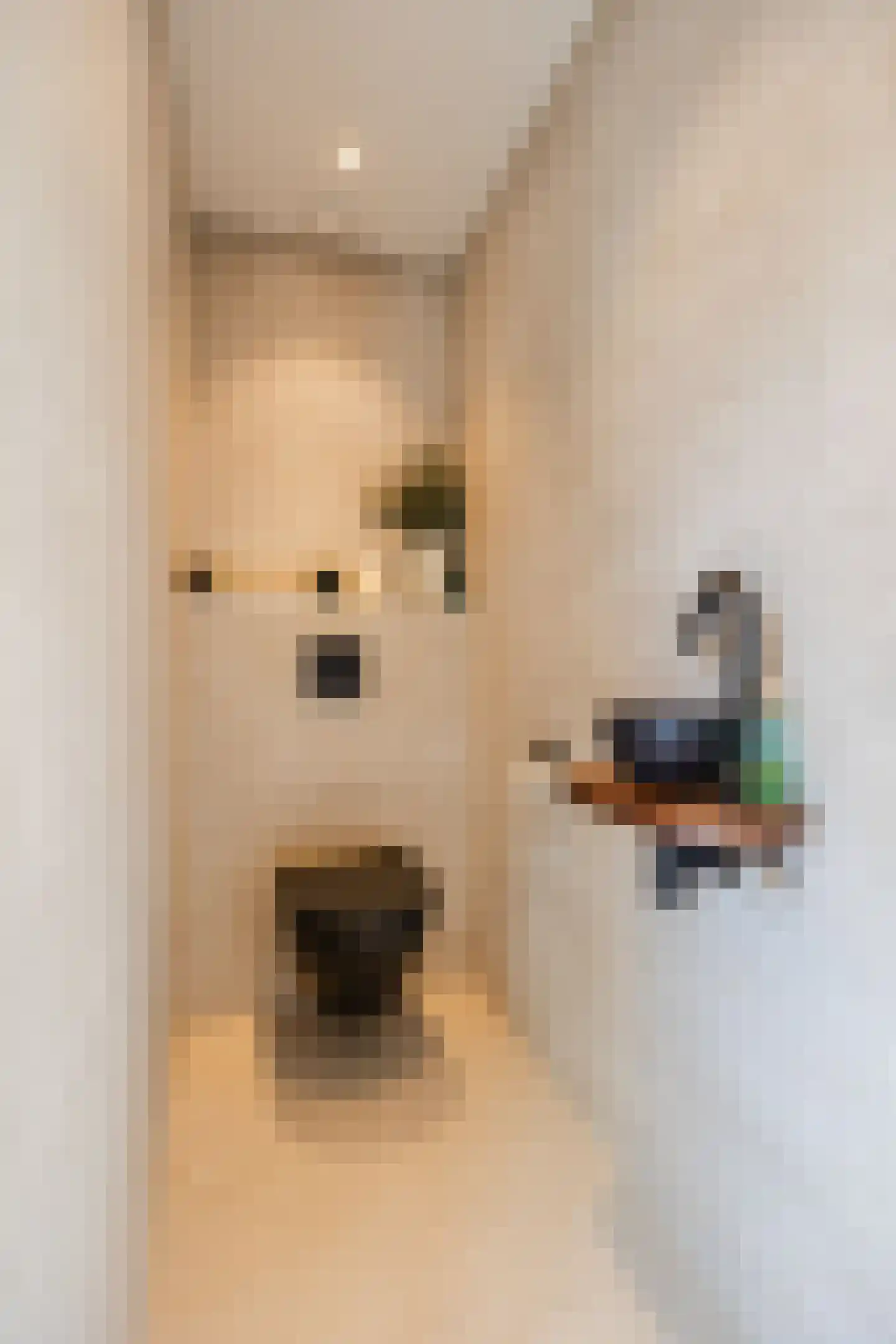 Noordzeedijk 15 Stampersgat thumbnail 23