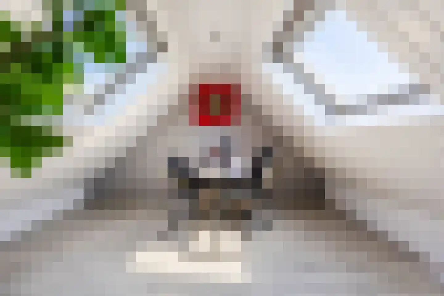 Noordzeedijk 15 Stampersgat thumbnail 37