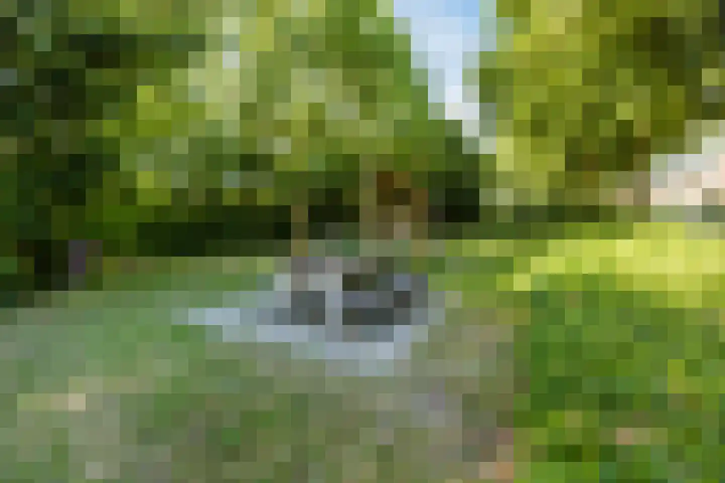 Noordzeedijk 15 Stampersgat thumbnail 47
