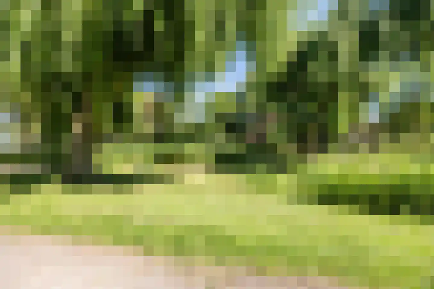 Noordzeedijk 15 Stampersgat thumbnail 50