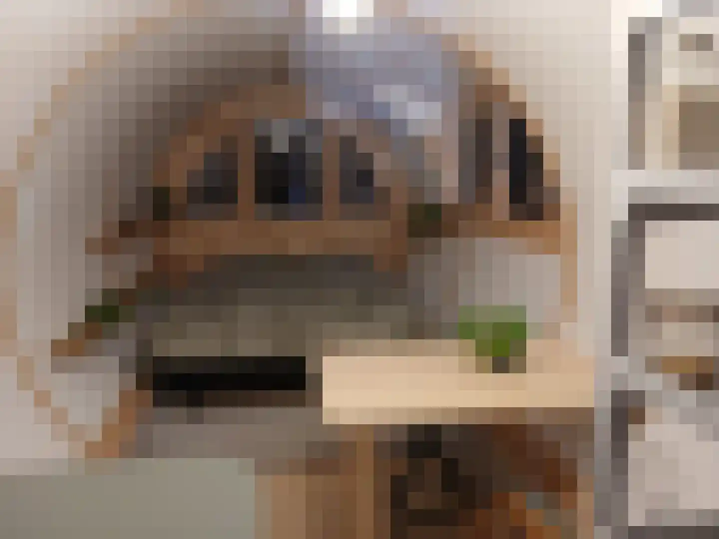 Noordzeekanaalweg 3 Halfweg thumbnail 4