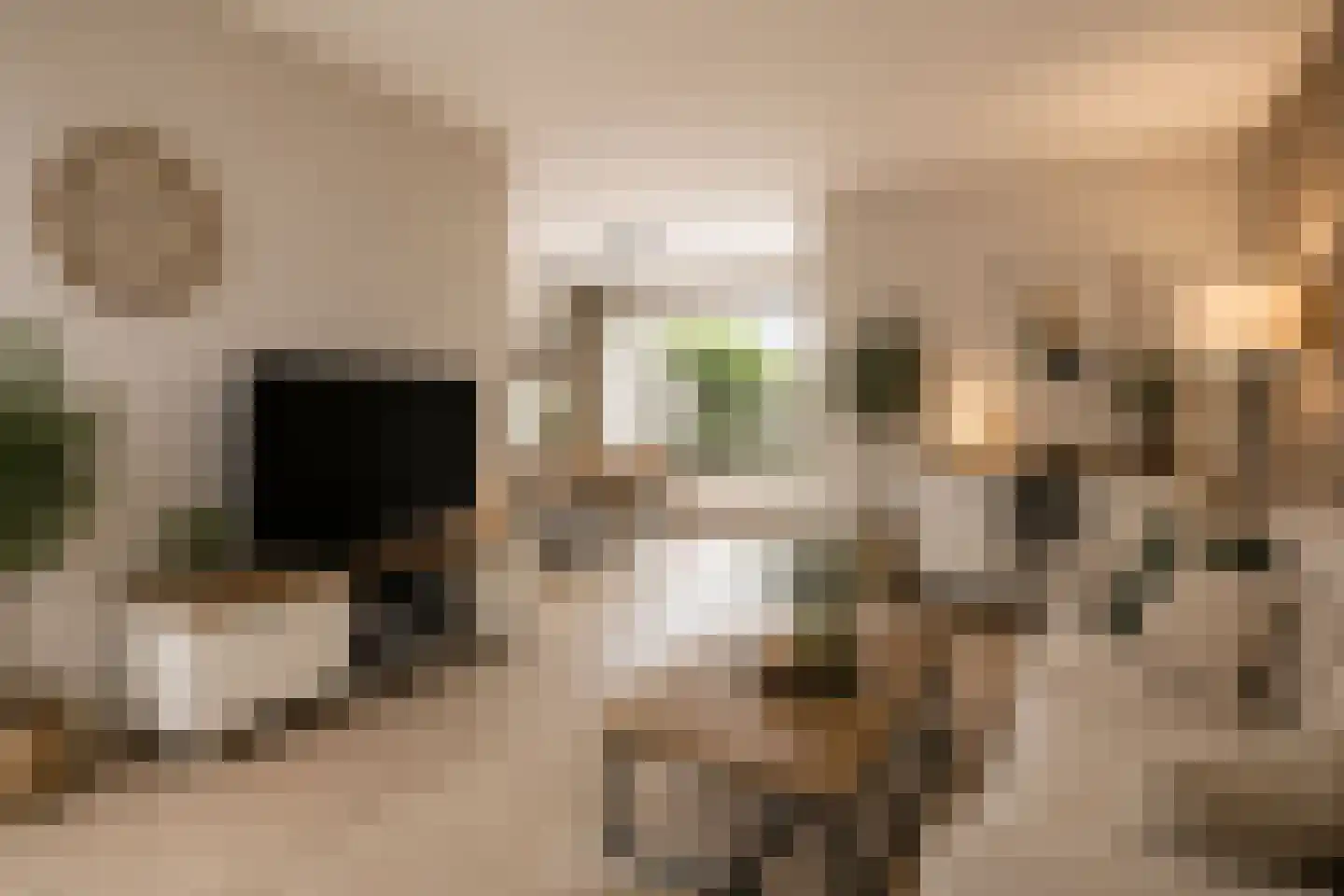 Noordzeelaan 27 Eindhoven thumbnail 12
