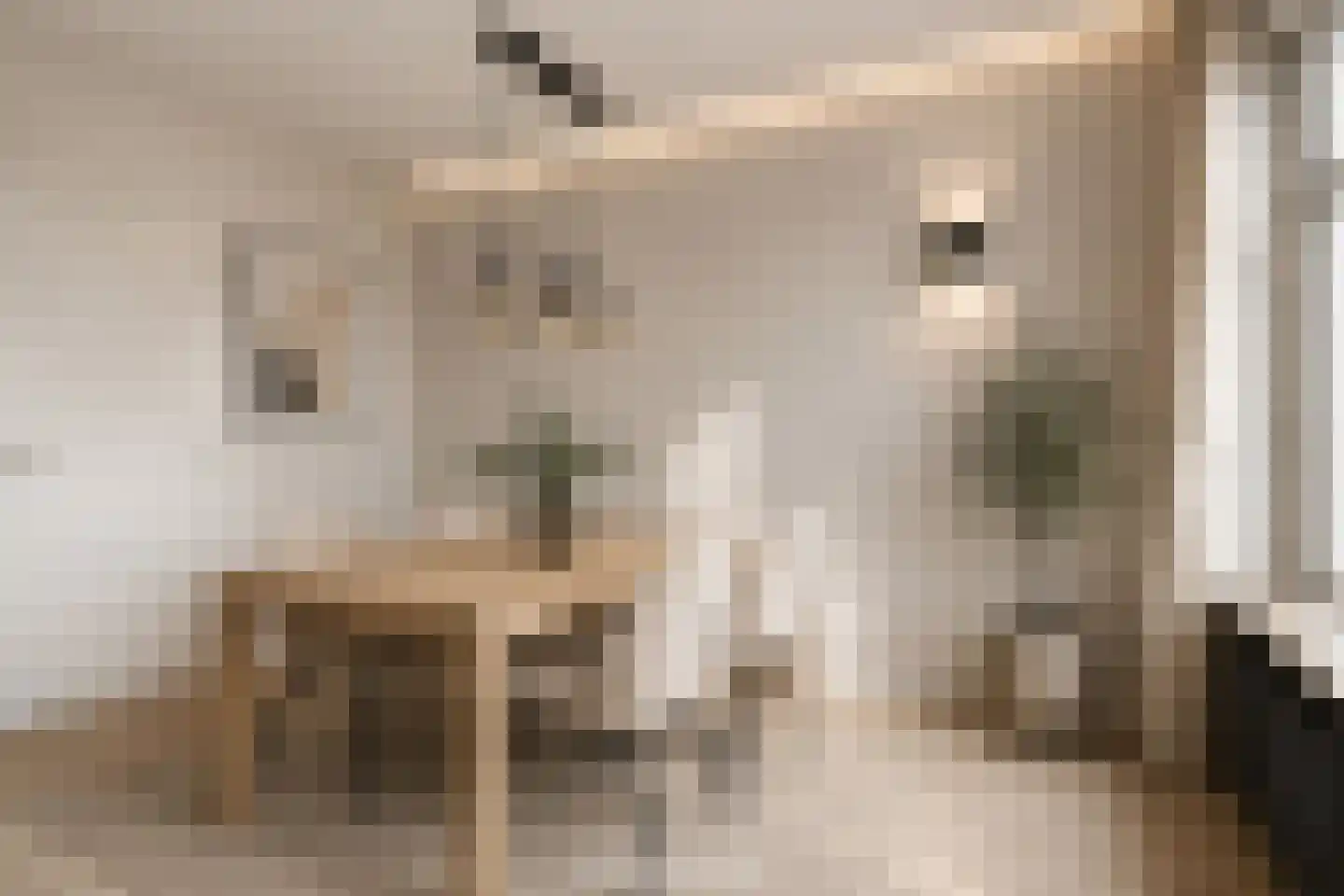 Noordzeelaan 27 Eindhoven thumbnail 16