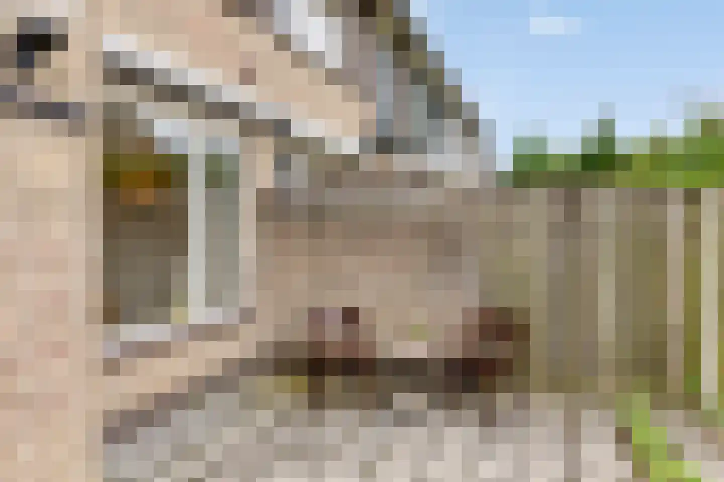Noordzeelaan 27 Eindhoven thumbnail 31