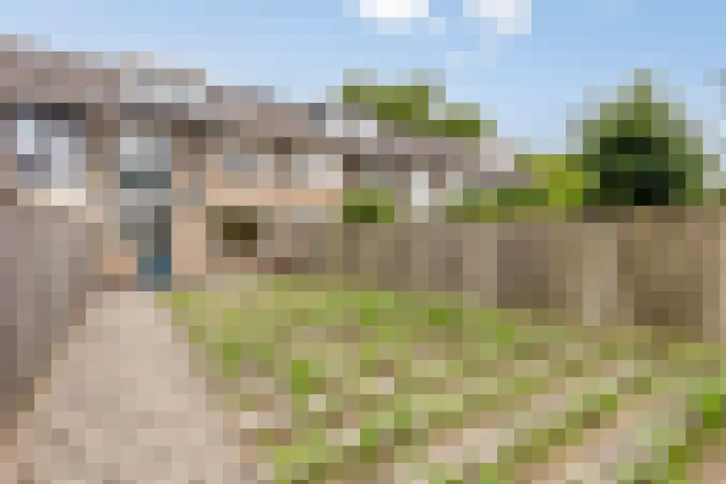 Noordzeelaan 27 Eindhoven thumbnail 34