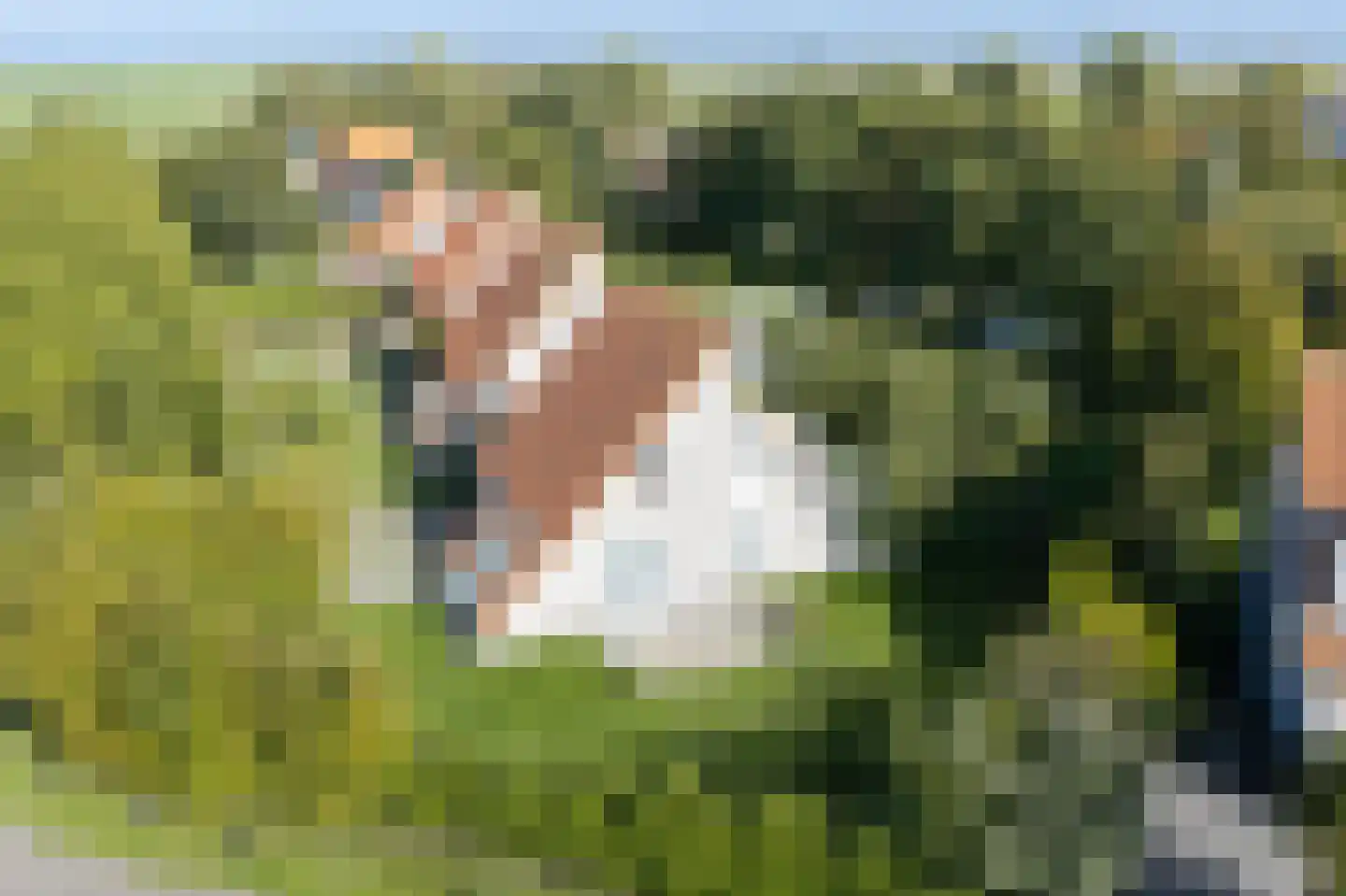 Noordzeelaan 45 Scharendijke