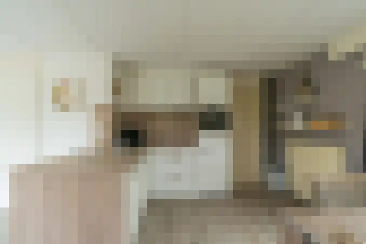 Noordzeelaan 45 Scharendijke thumbnail 10