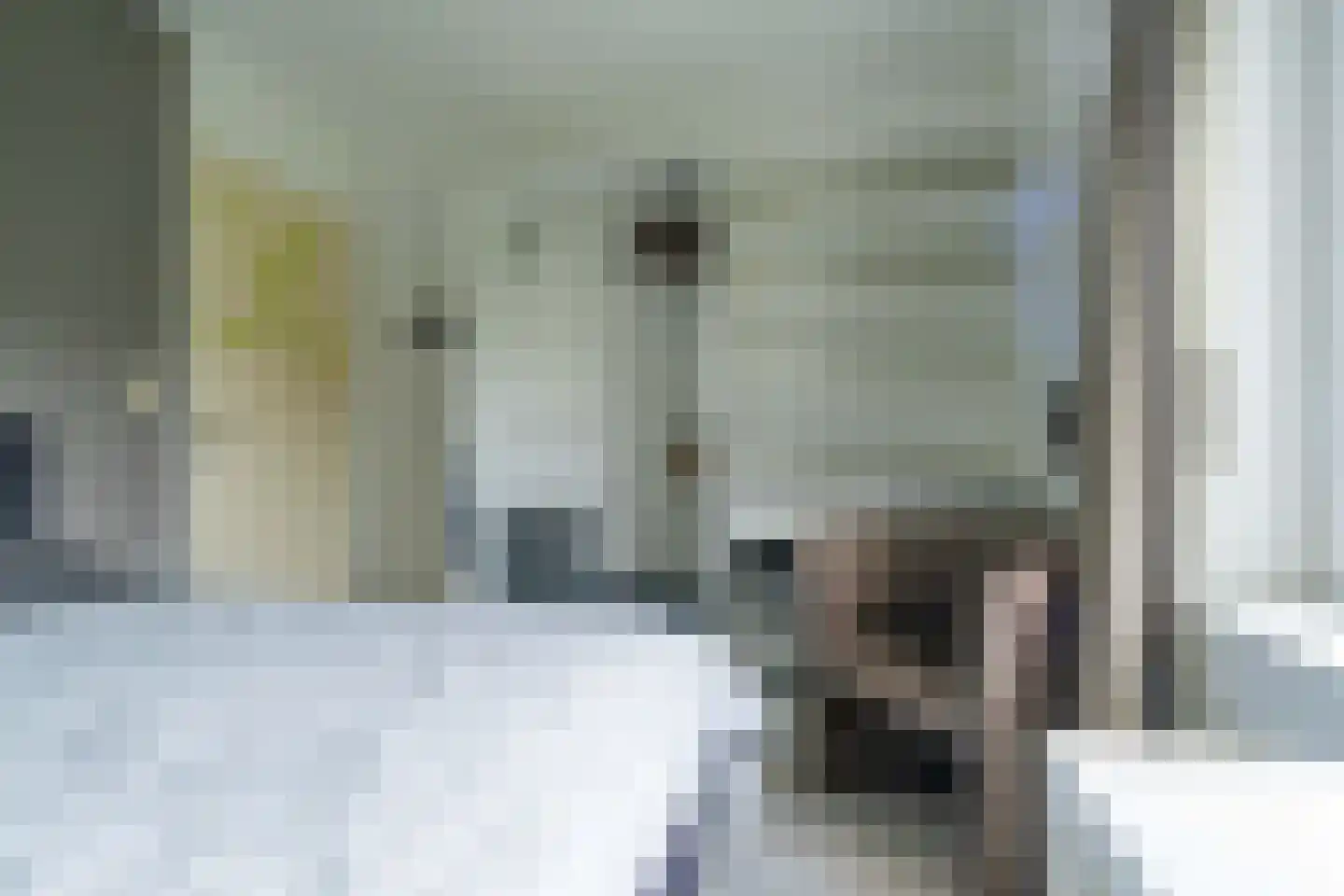 Noordzeelaan 45 Scharendijke thumbnail 20