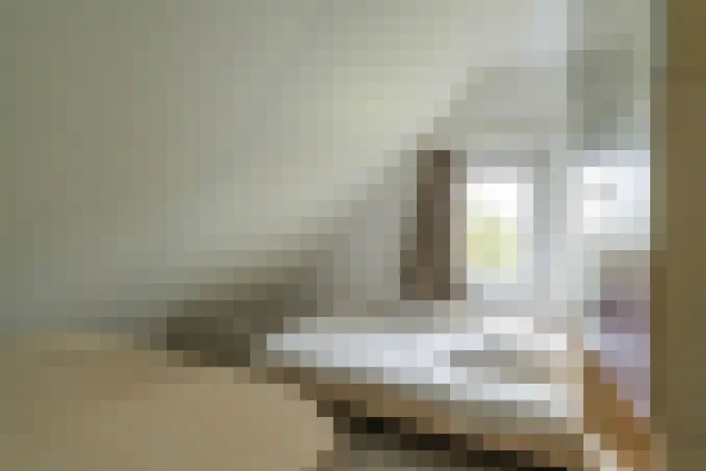 Noordzeelaan 45 Scharendijke thumbnail 21