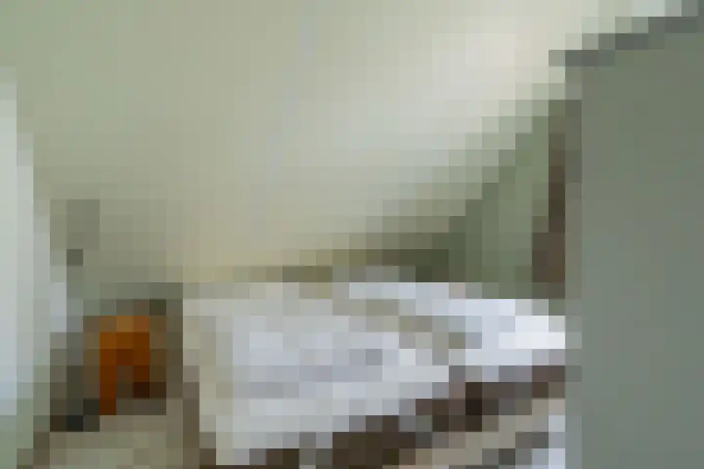 Noordzeelaan 45 Scharendijke thumbnail 23
